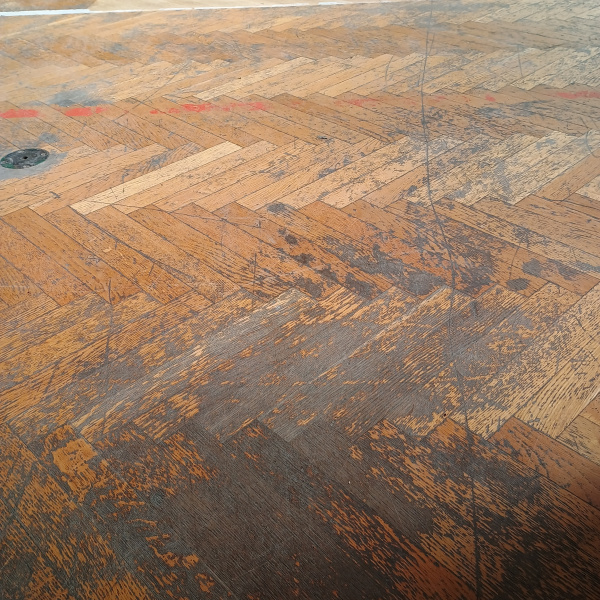 Gymnasium of the Grosics Gyula Sports Primary School